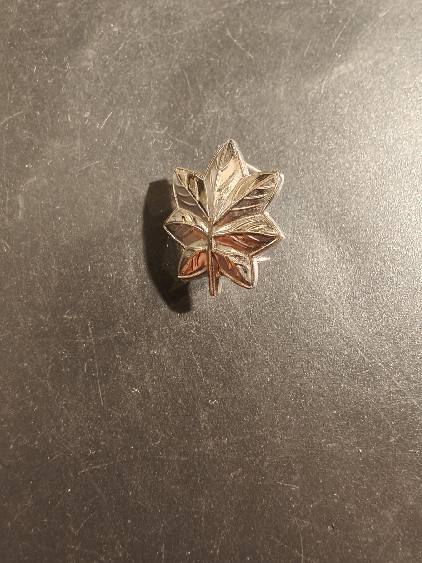 老王徽章第177期