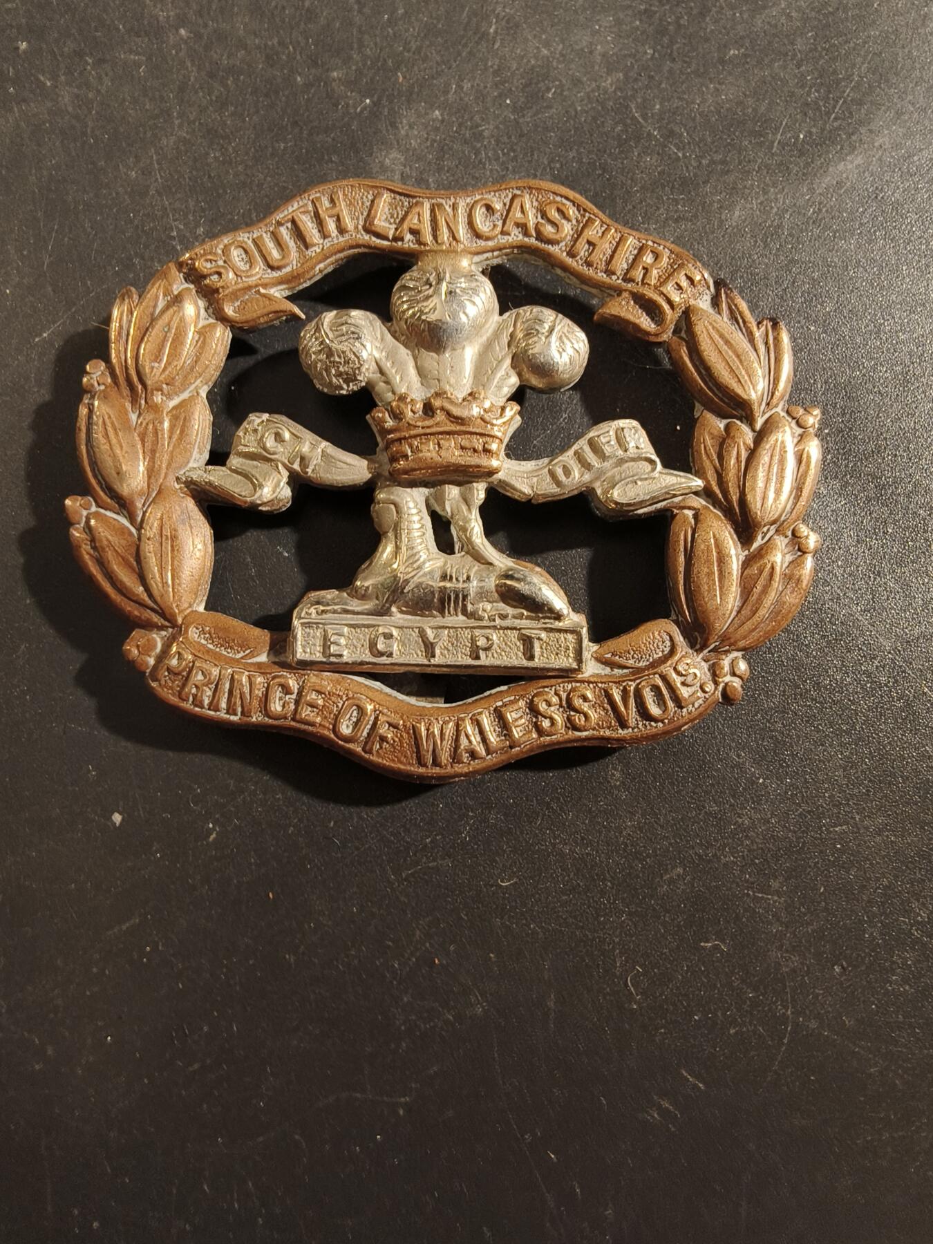 老王徽章第177期