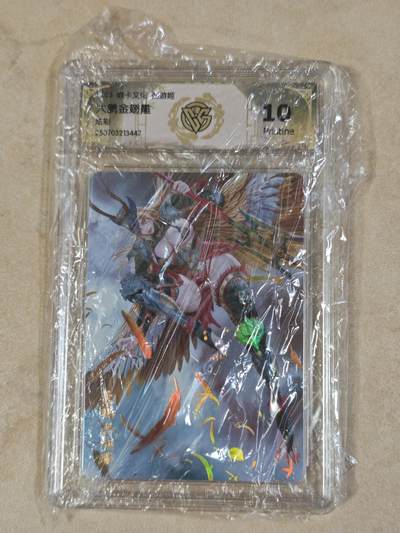 夜之极第三十八期 （1月17日周六晚9点截拍，欢迎竞拍） - CCG&焱卡 西游姬 大鹏金翅雕 炫彩 10p