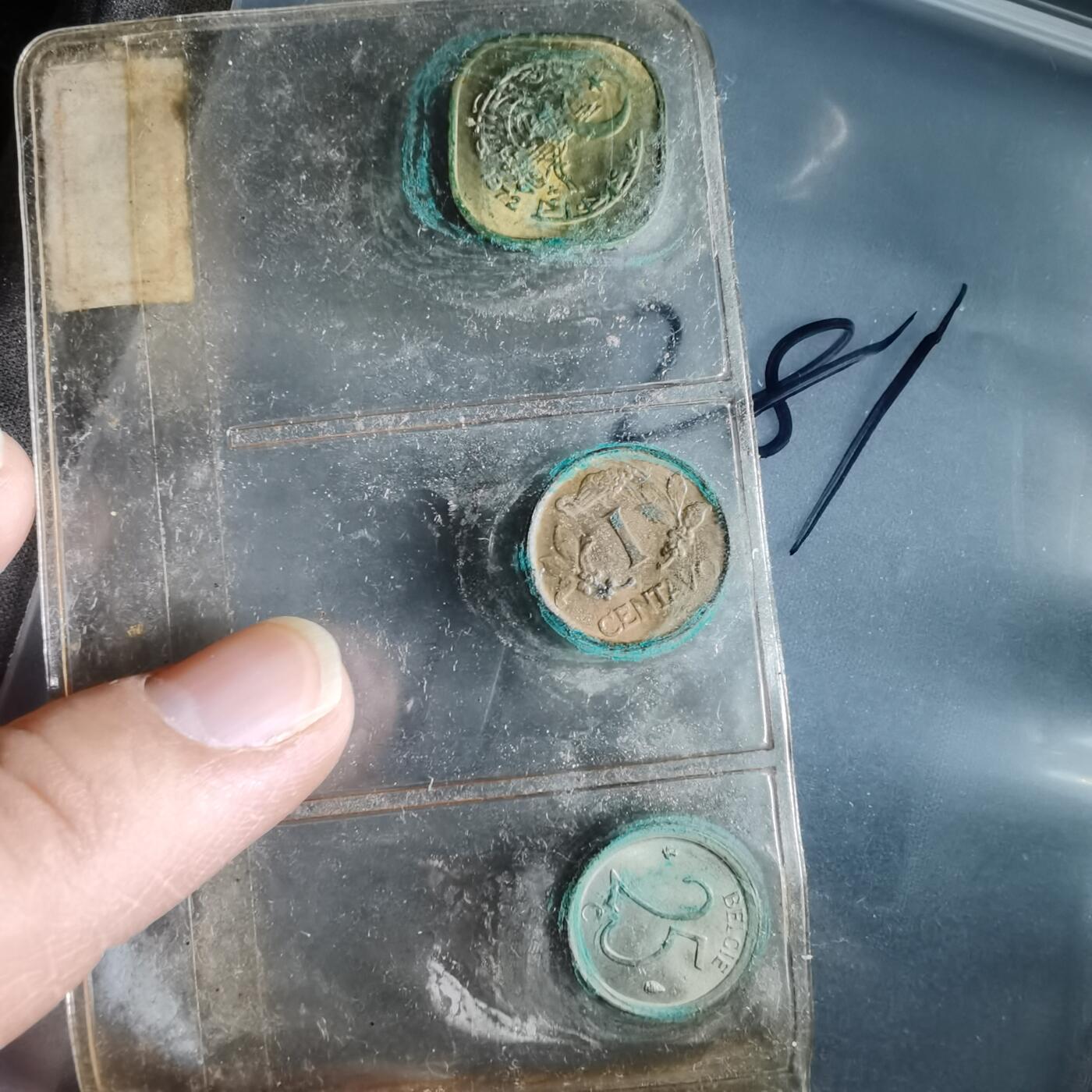 沼泽如烟--第964场