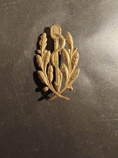 老王徽章第177期 - 法国陆军军医团帽徽