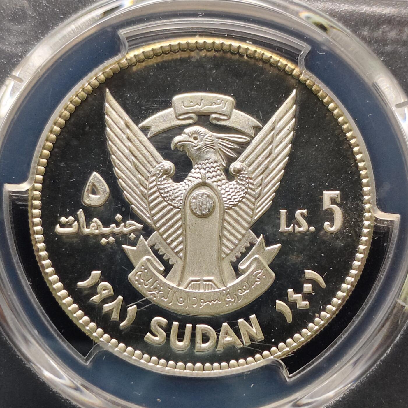 【全场包邮】纯粹捡漏拍495场-持续更新中 苏丹