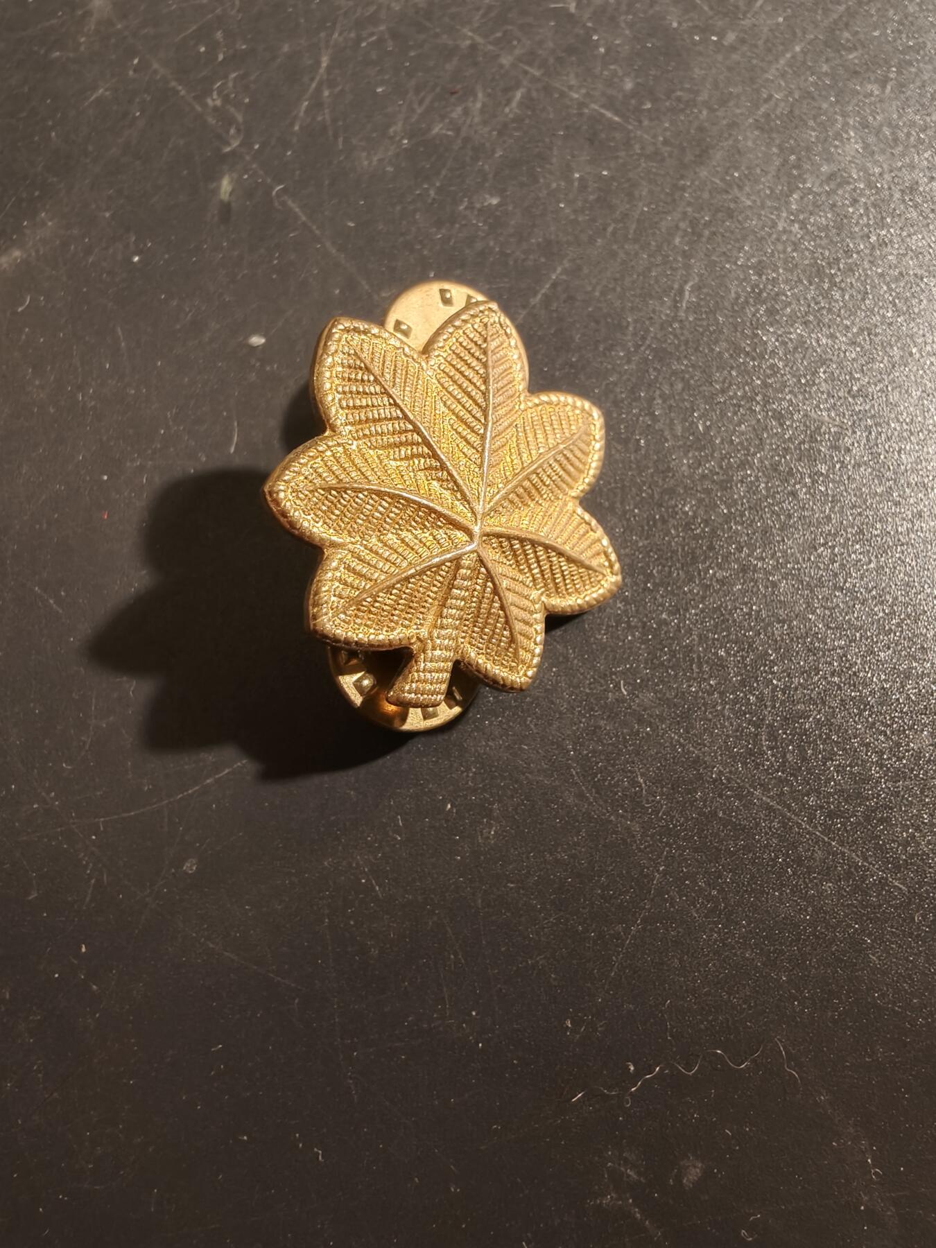 老王徽章第177期