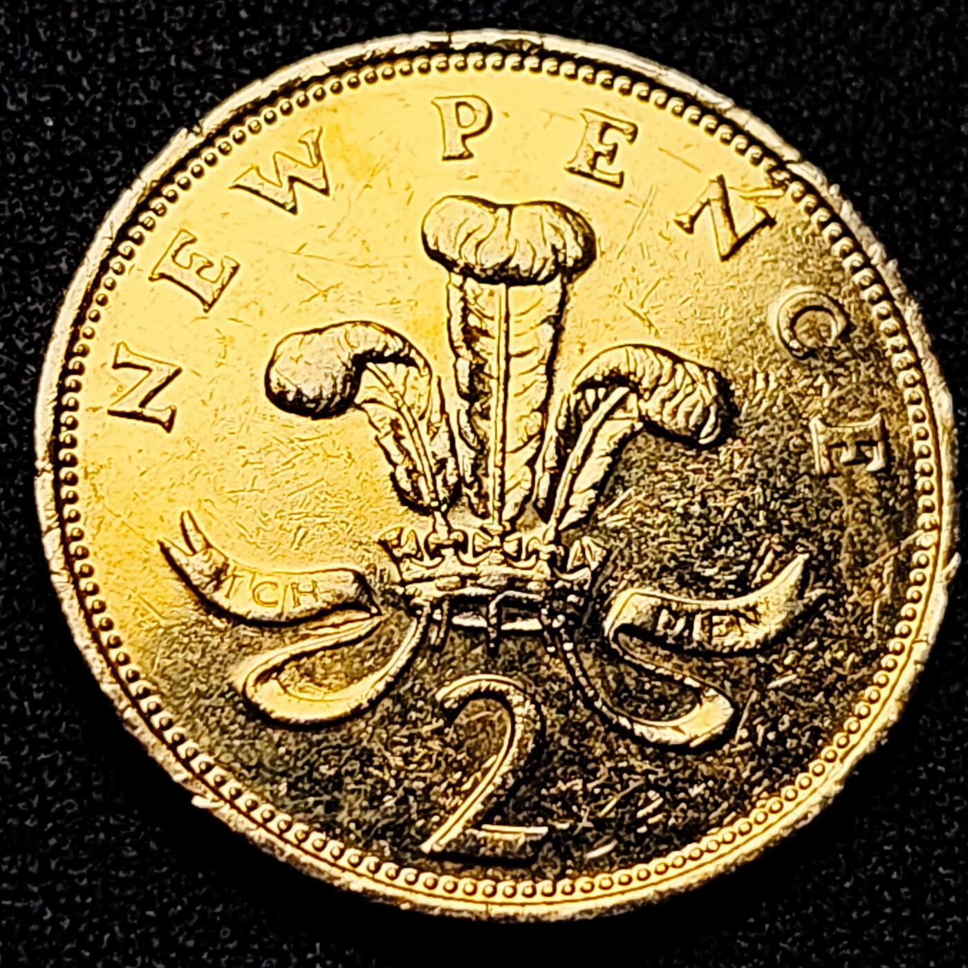 泉币菌-第171场- 精品福利场 。