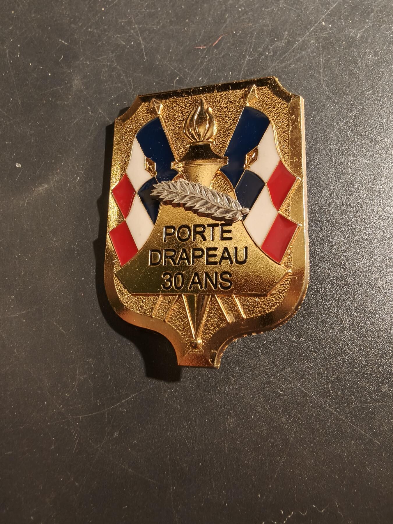 老王徽章第177期 法国共和国卫队证章