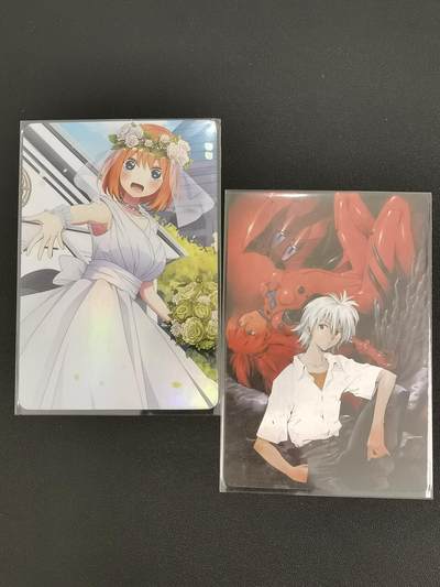 NO.25 好又多金牌大场，新年专场（上）一马当先，大吉大利！每周一站式配齐，方便凑单！（周5晚9点截拍，卖家送拍0抽成！） - EVA与五等分 2张折光彩闪