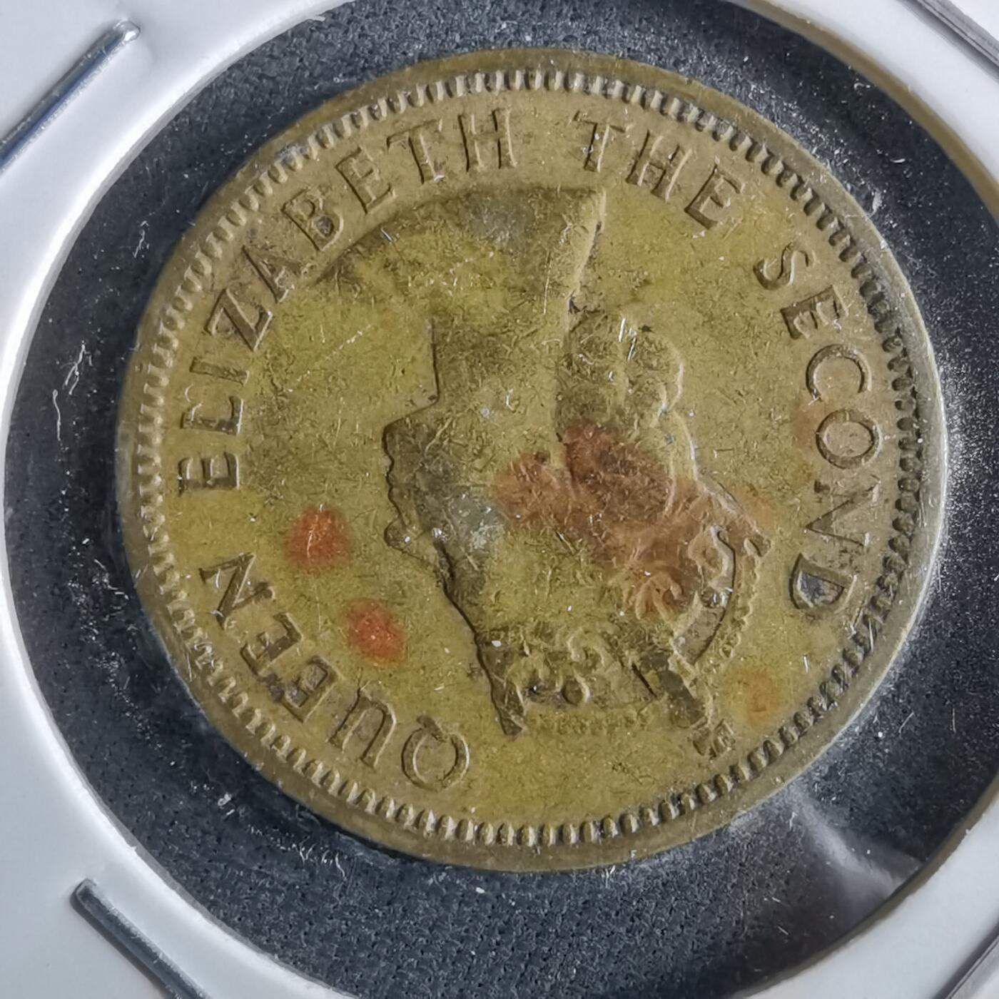 沼泽如烟--第964场