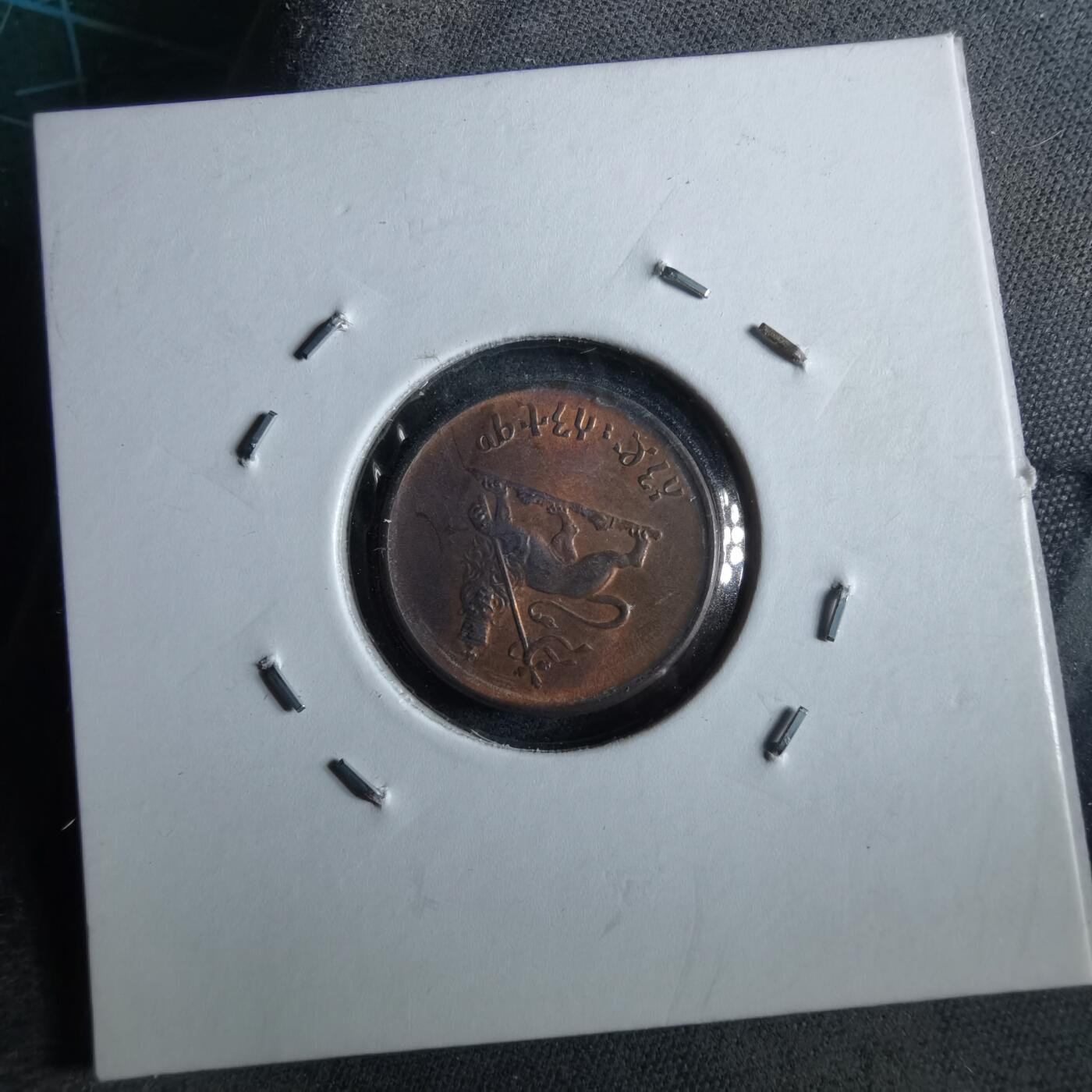 沼泽如烟--第964场