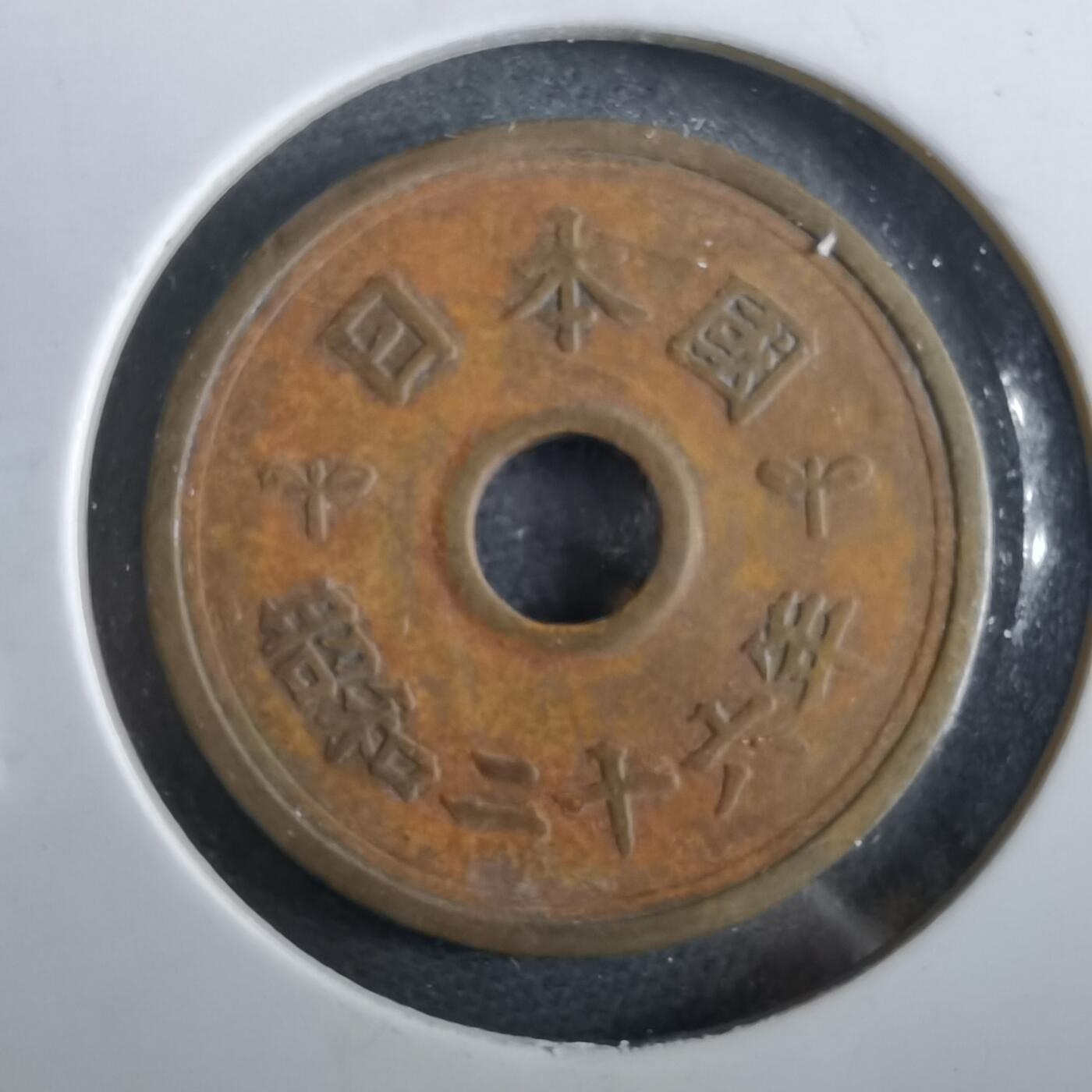 沼泽如烟--第964场