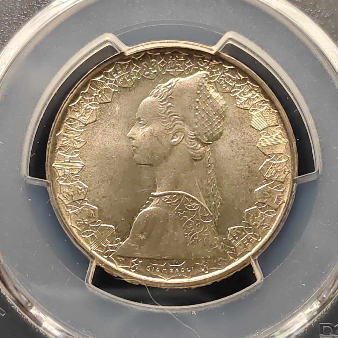 【全场包邮】纯粹捡漏拍495场-持续更新中