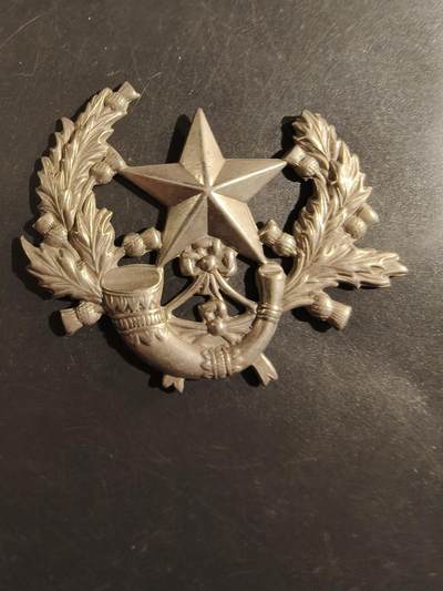 老王徽章第177期 - 英国苏格兰卡梅伦步枪团帽徽     一战时期    缺背杆