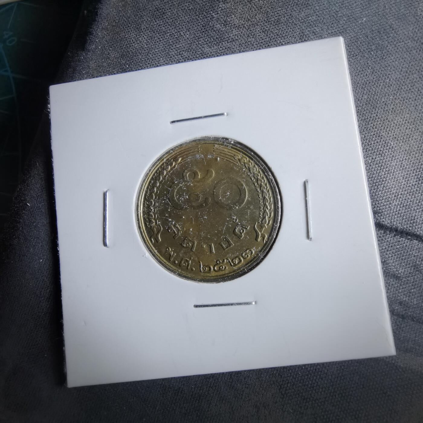 沼泽如烟--第964场 泰国