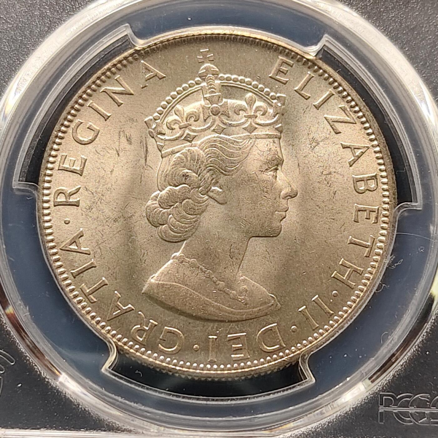 【全场包邮】纯粹捡漏拍495场-持续更新中 百慕大群岛