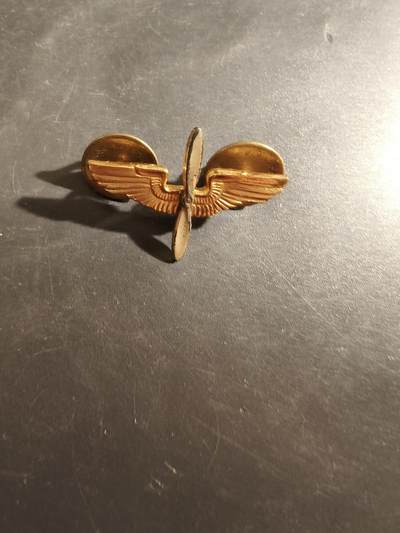 老王徽章第177期 - 美国空军领章