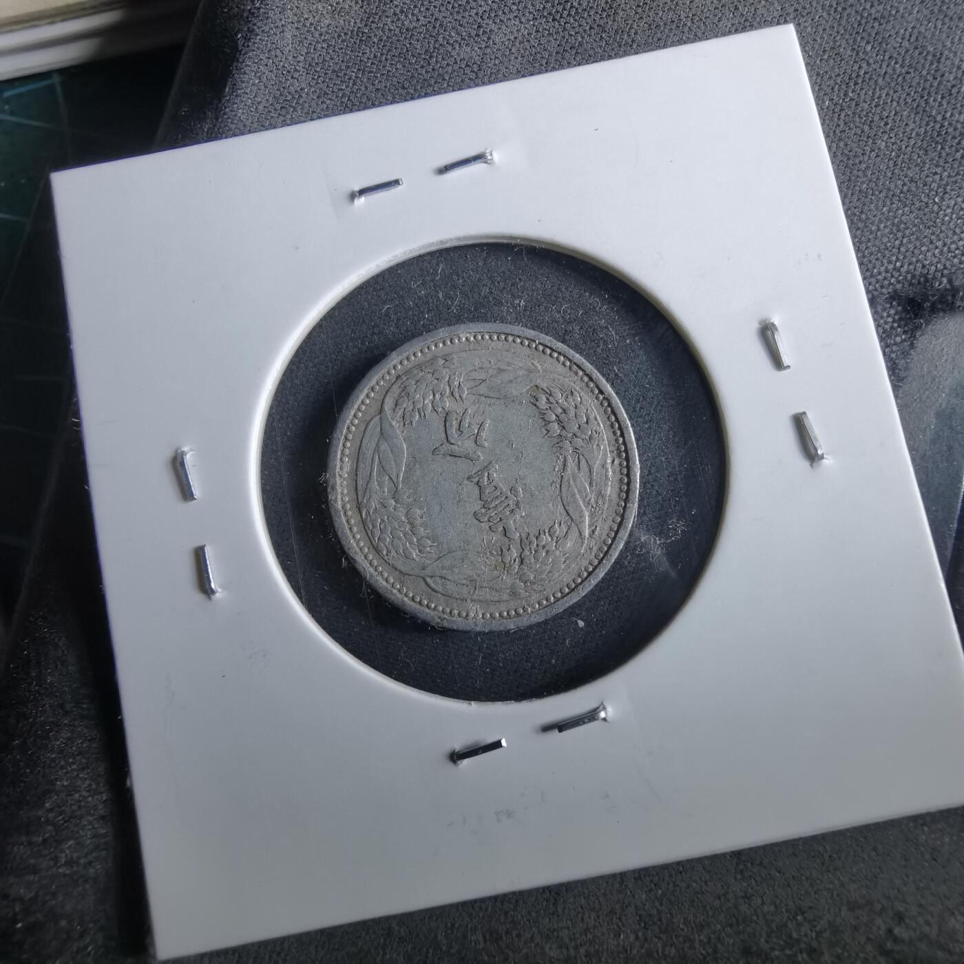 沼泽如烟--第964场