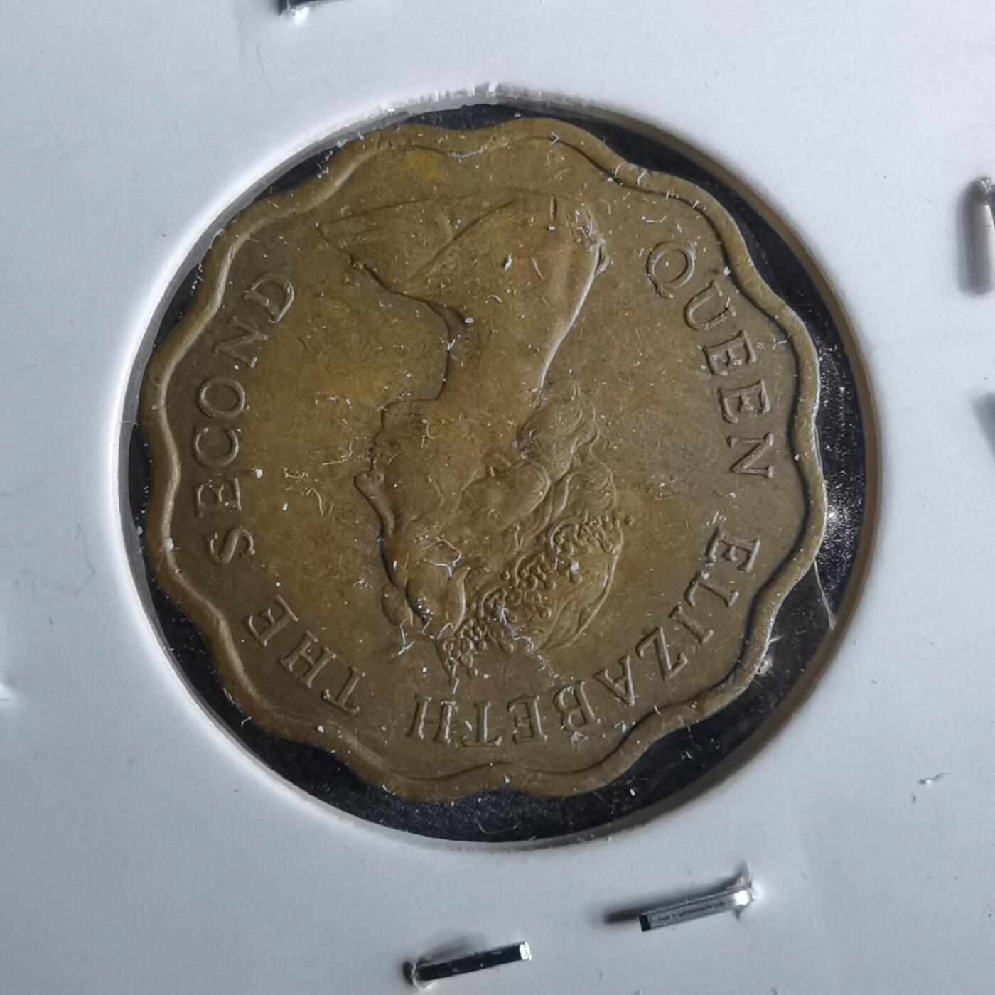 沼泽如烟--第964场