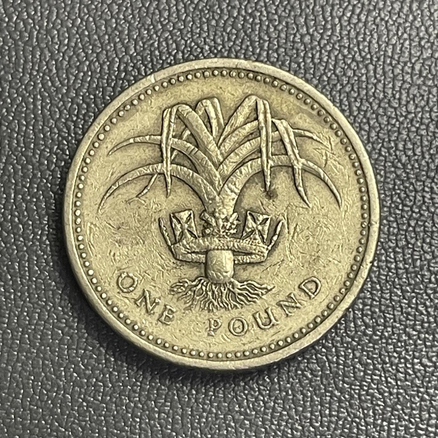 回流0120 英国1985年1英镑镍黄铜币 威尔士韭葱 高冠女王