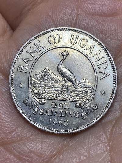 2026年第九场(总第一百七十八场）外国好品散币场(免佣金) - 带光好品–乌干达🇺🇬1968年1先令(独立后第一套流通硬币)