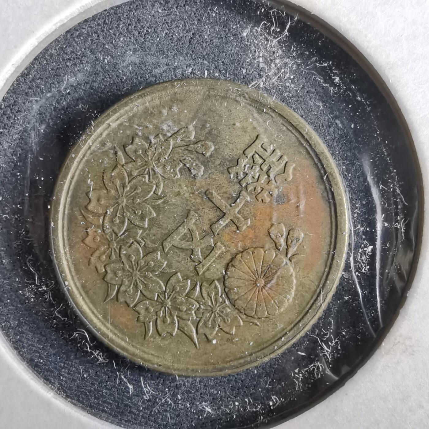 沼泽如烟--第964场