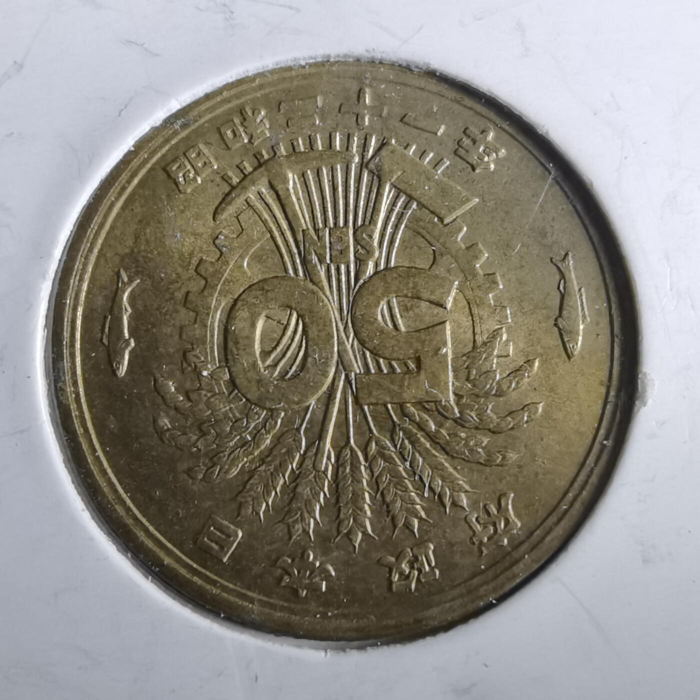 沼泽如烟--第964场