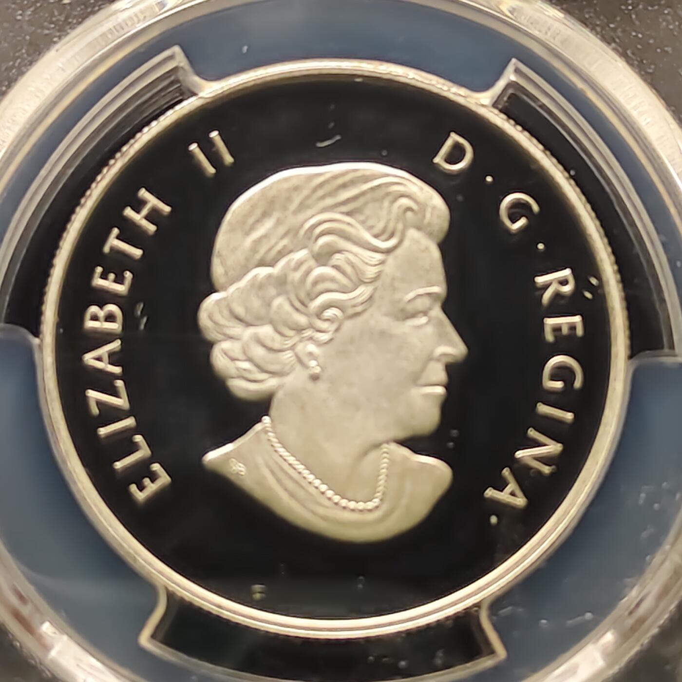 【全场包邮】纯粹捡漏拍495场-持续更新中 加拿大