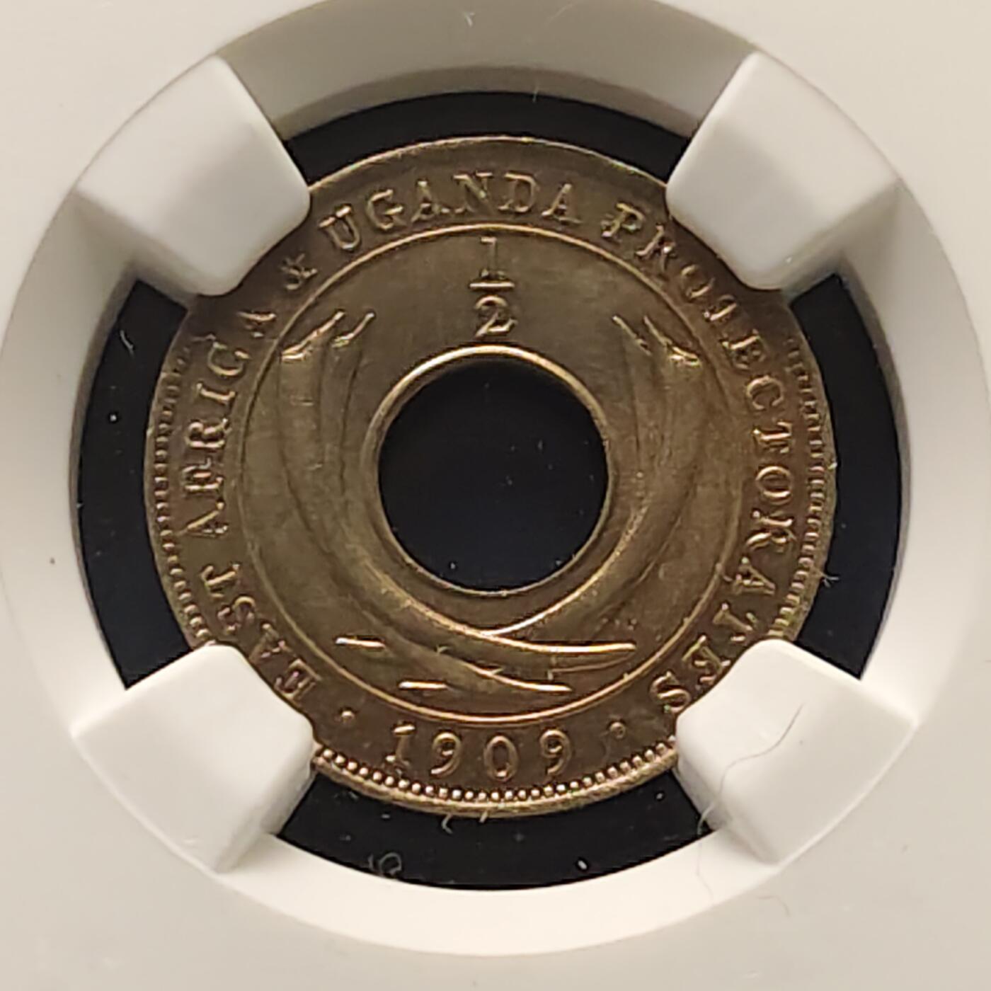 【全场包邮】纯粹捡漏拍495场-持续更新中 东非