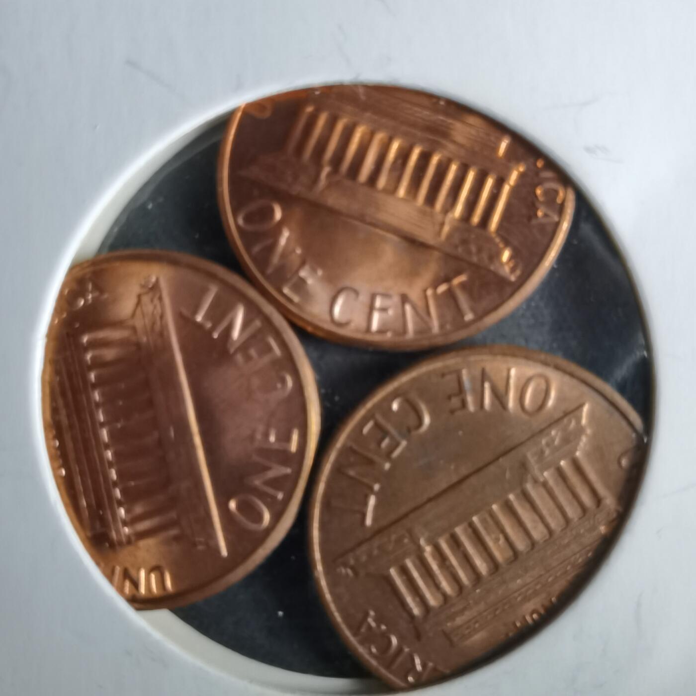 沼泽如烟--第964场