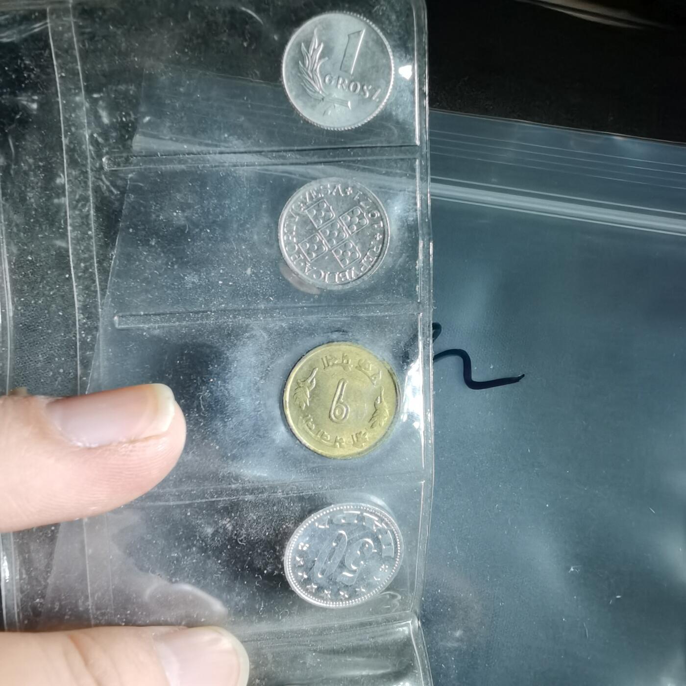 沼泽如烟--第964场