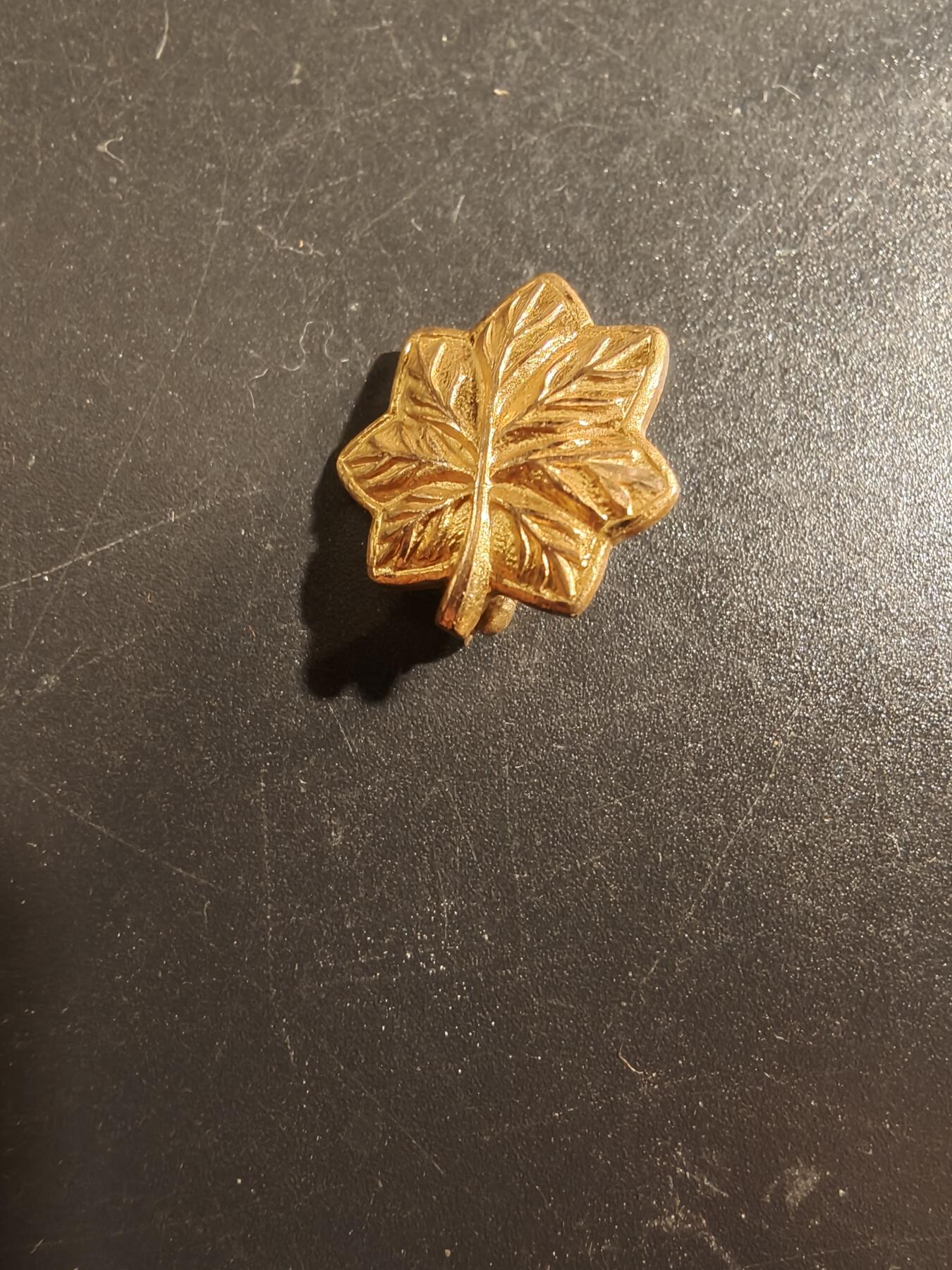 老王徽章第177期