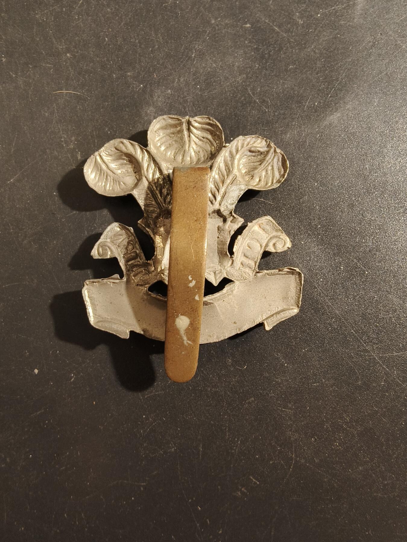 老王徽章第177期