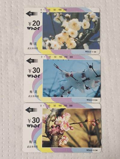 易卡拍卖第70期 - 武汉市花——梅花（精品地方卡系列）（旧卡，多孔卡）收藏级品相。如图所示！