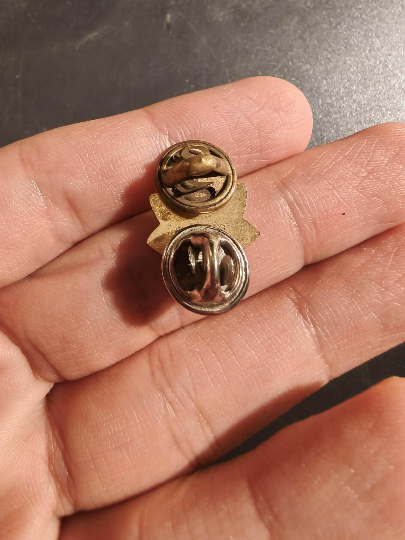 老王徽章第177期 美国海岸警卫队辅助队地区参谋领章     带厂标