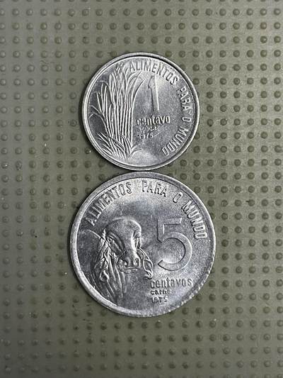 2026年第13场各国散币拍卖（总第163场） - 巴西1975年fao纪念币2枚