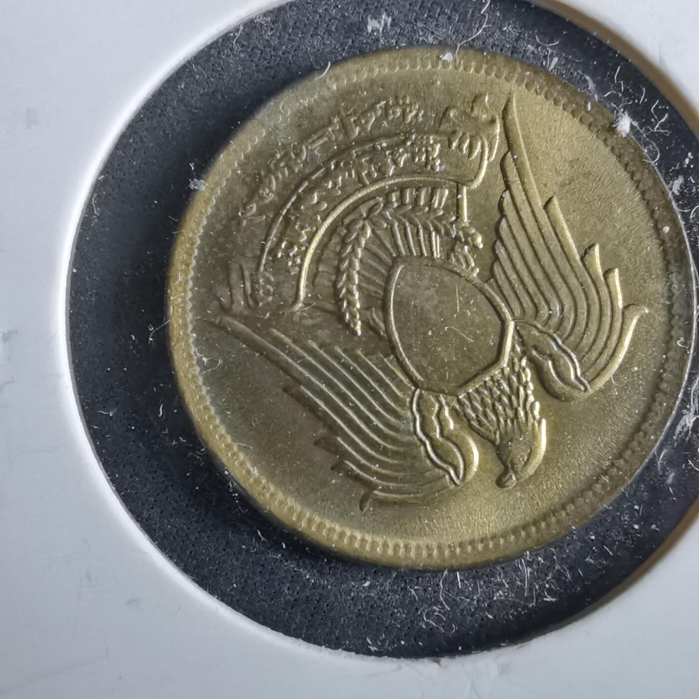 沼泽如烟--第964场