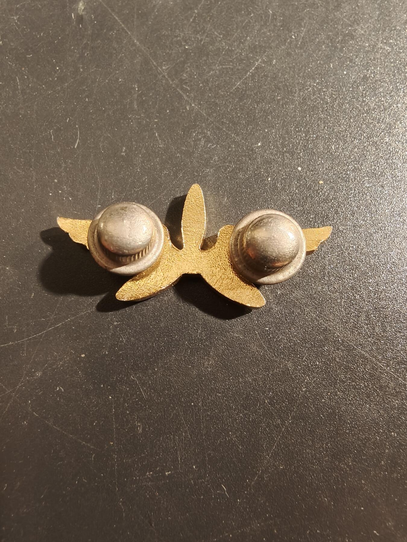 老王徽章第177期