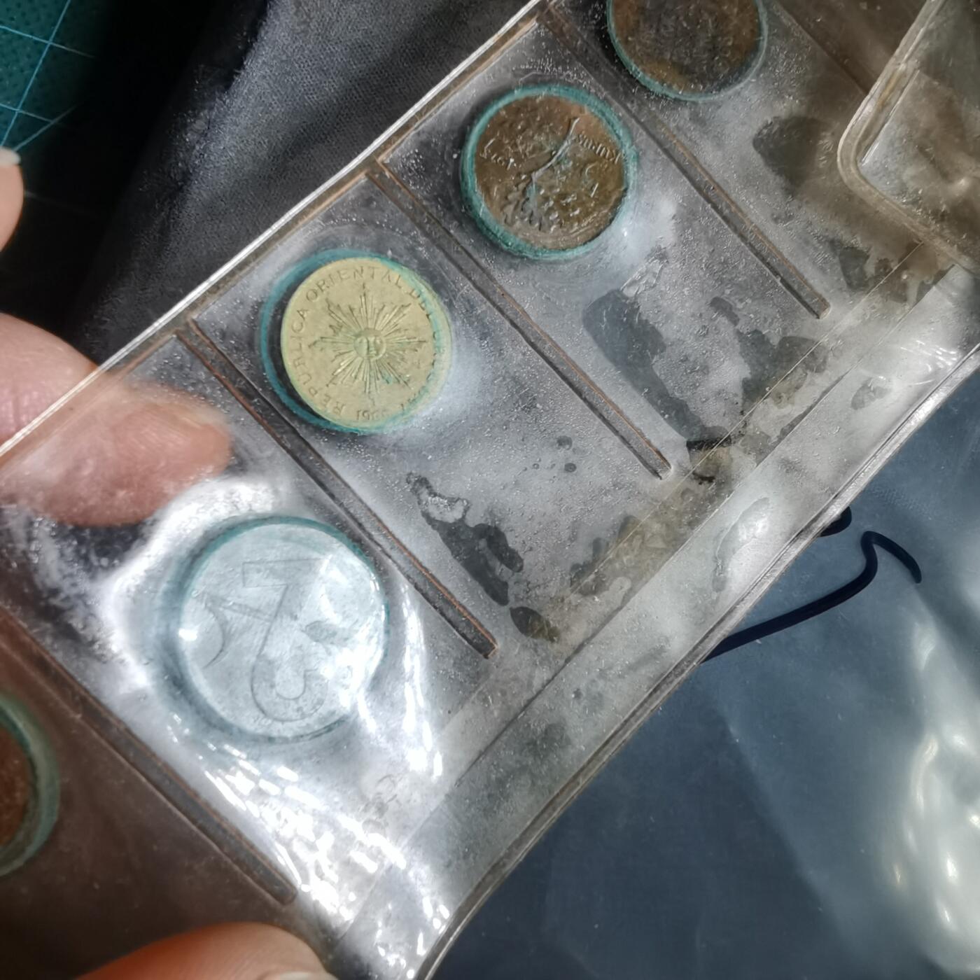 沼泽如烟--第964场