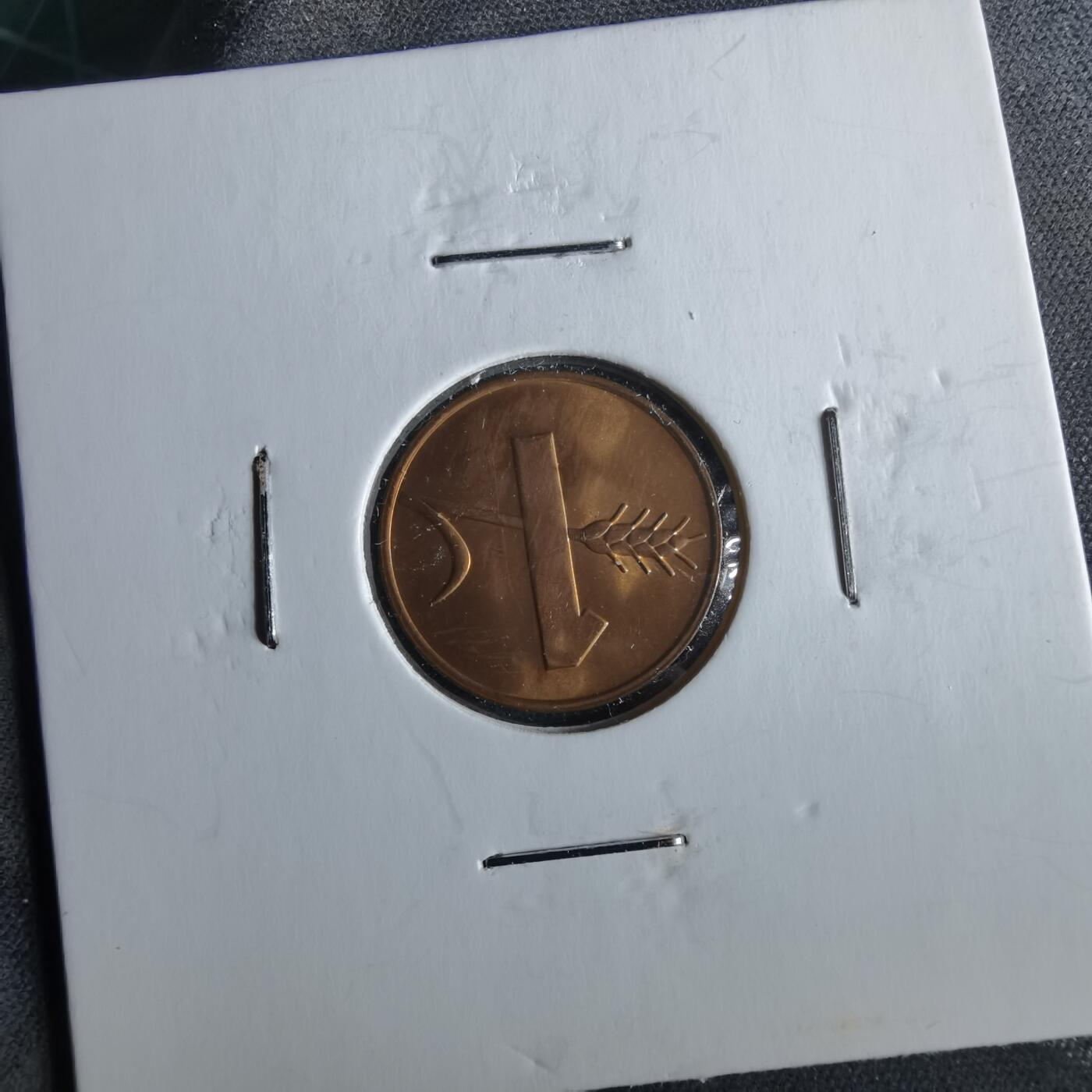 沼泽如烟--第964场