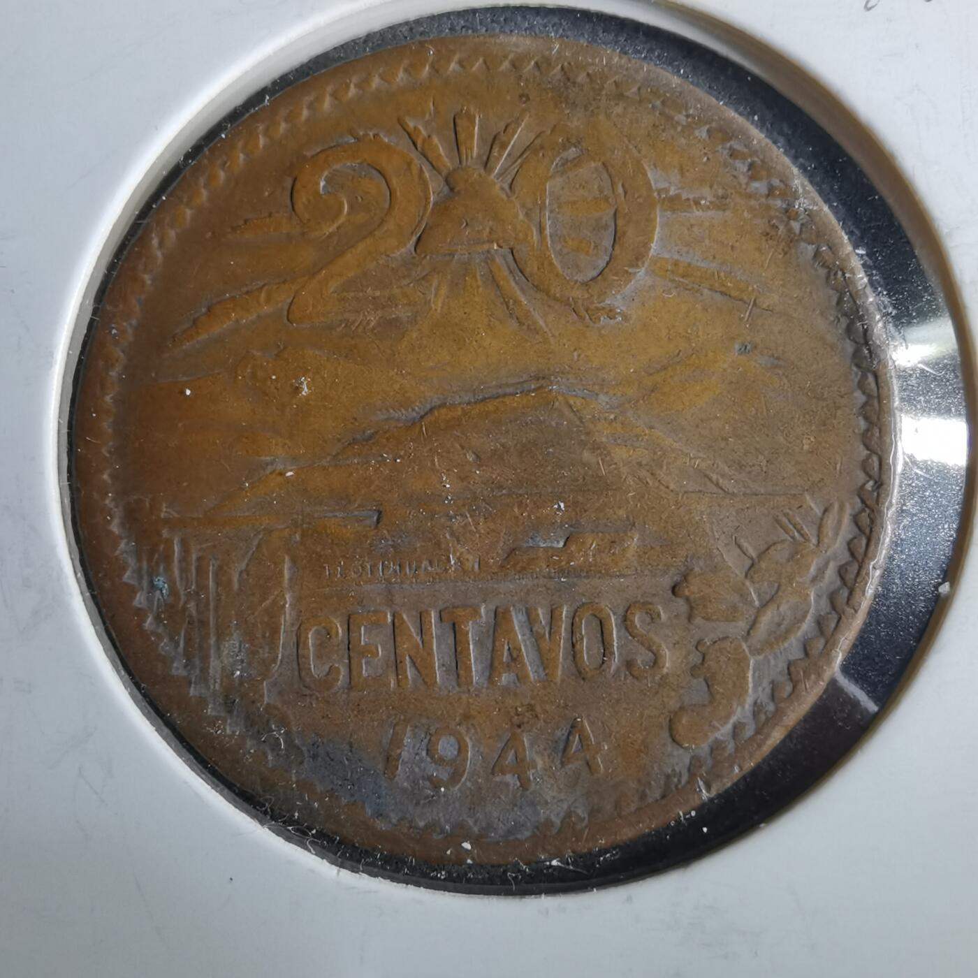 沼泽如烟--第964场