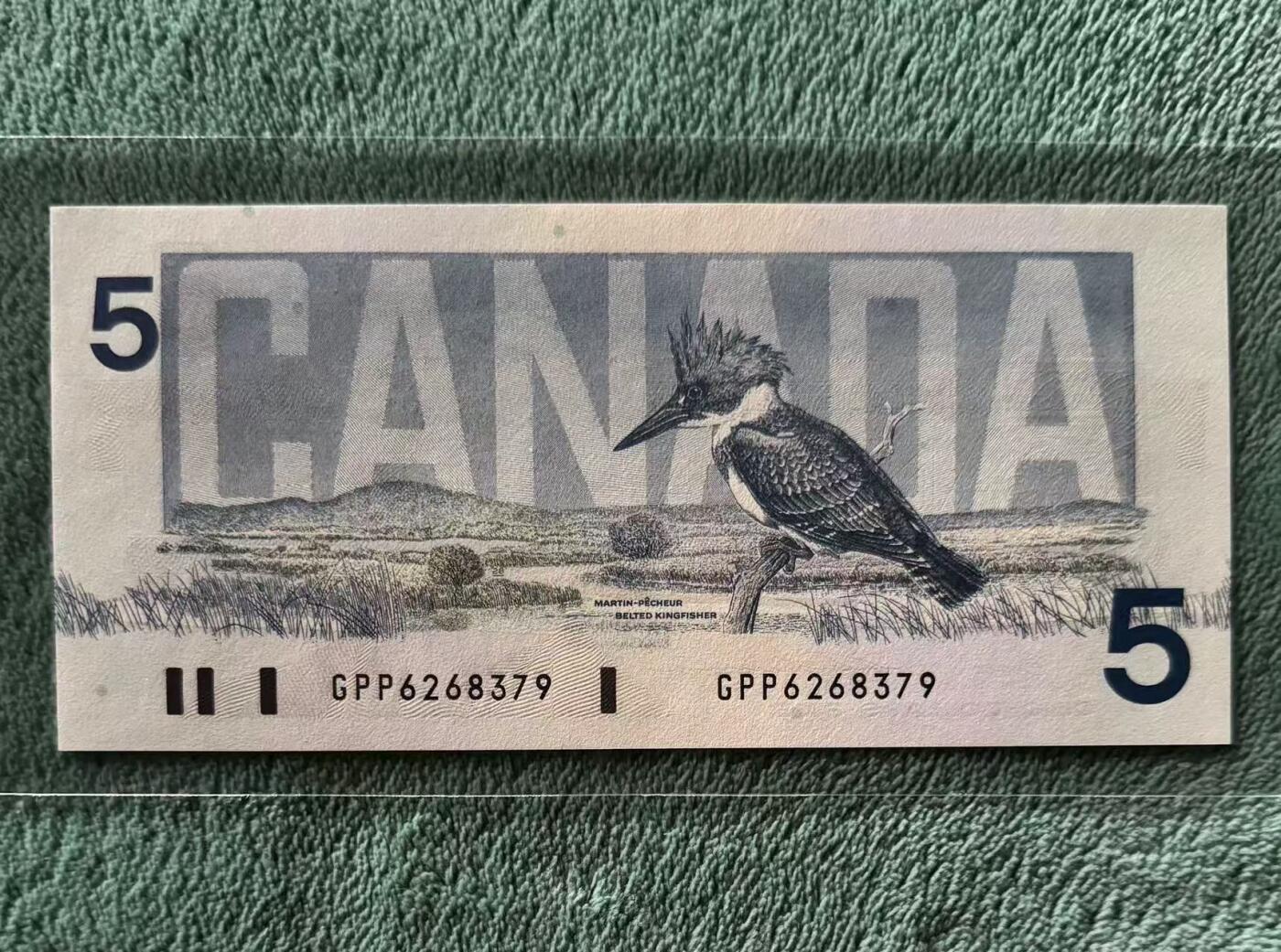 【礼羽收藏】🌏世界钱币拍卖第120期