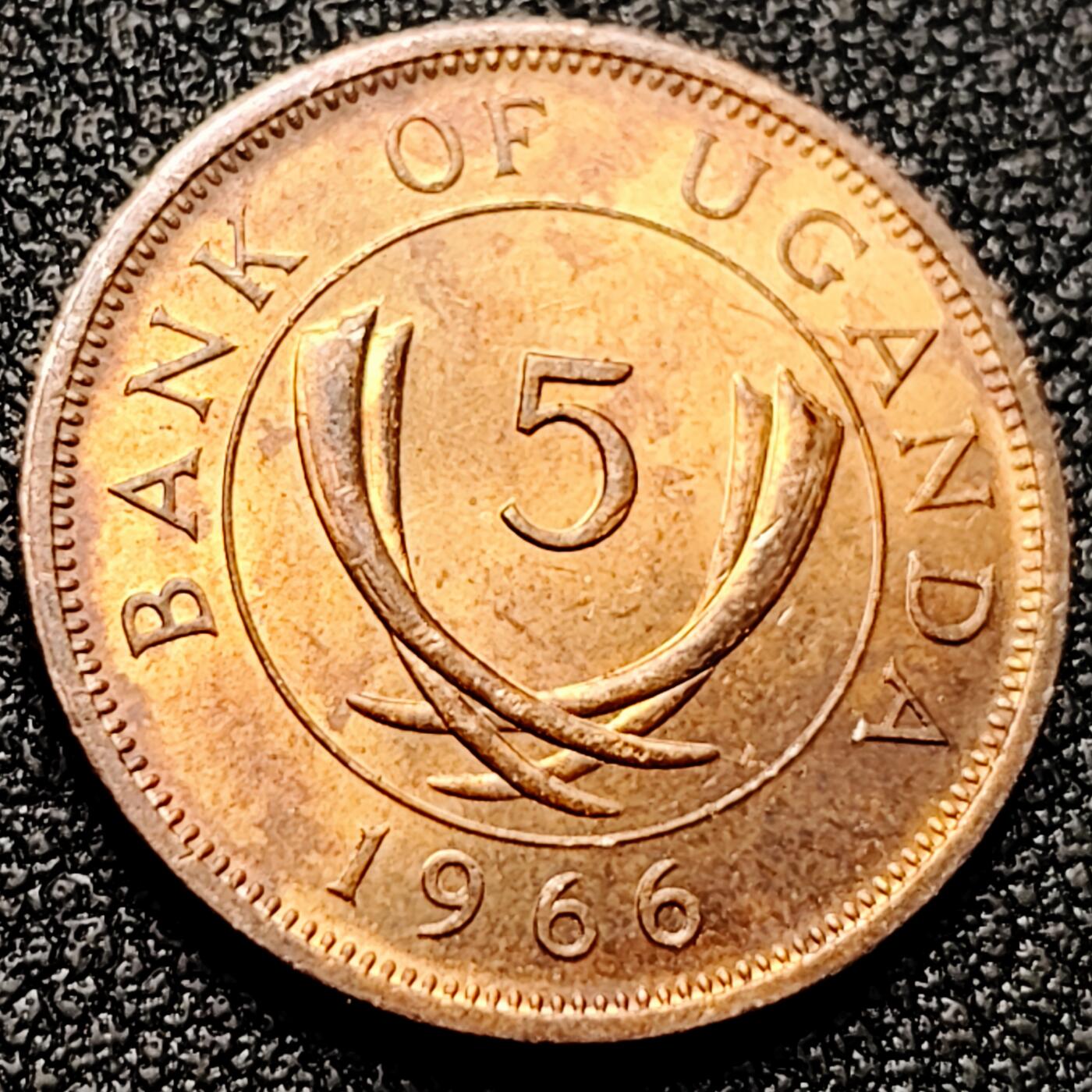 泉币菌-第171场- 精品福利场 。