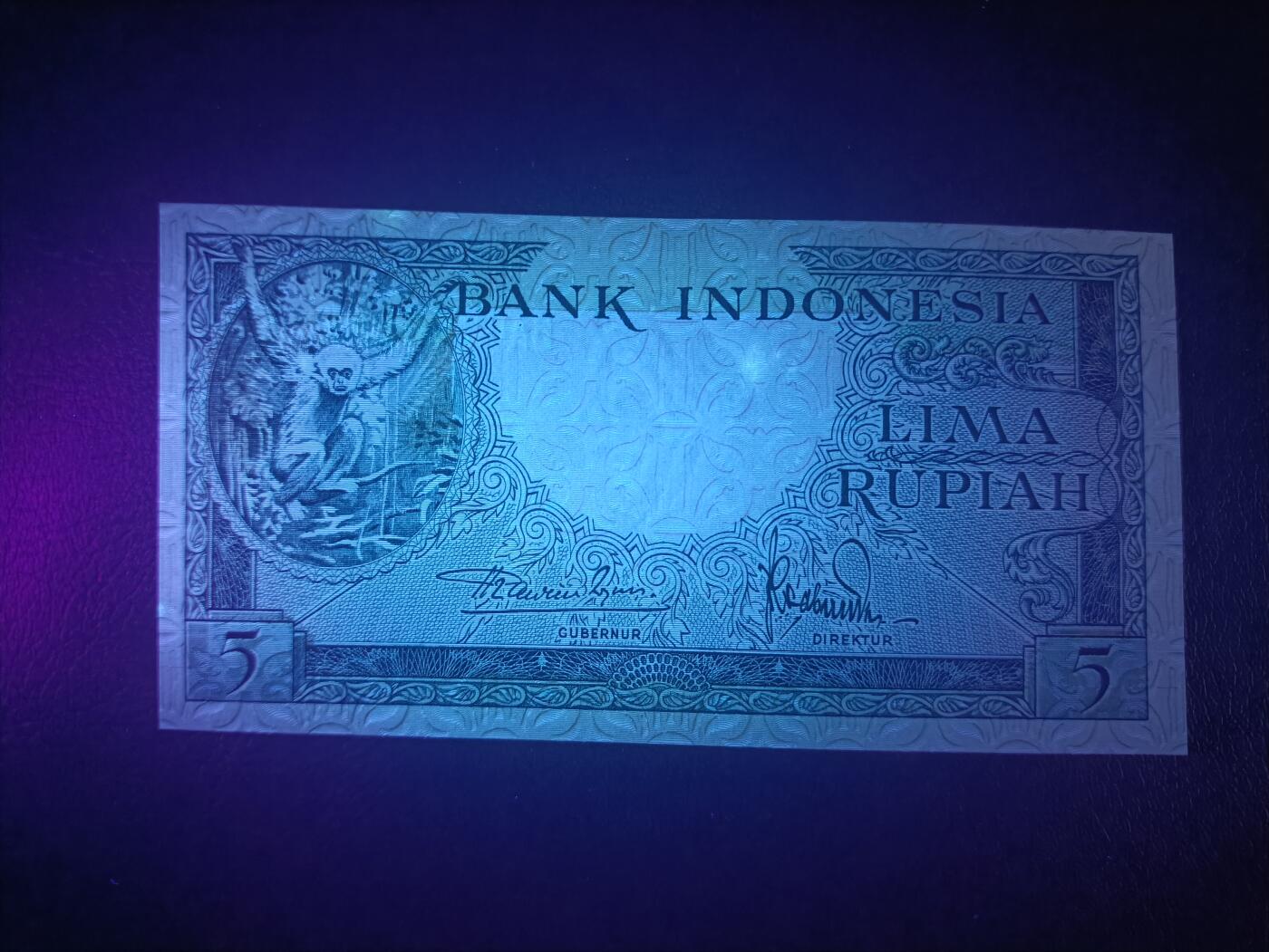 2026一月第三期，总213期