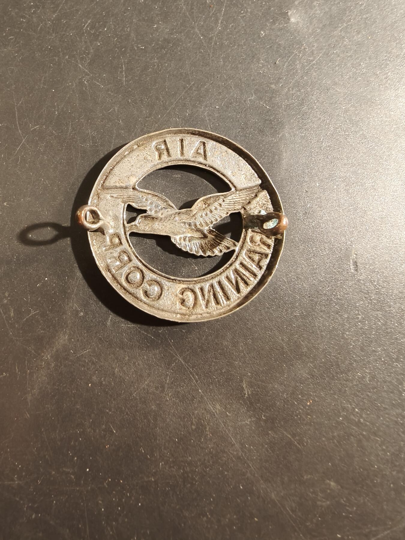 老王徽章第177期 英国皇家空军训练团帽徽    女王时期