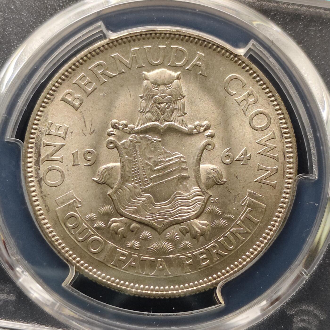 【全场包邮】纯粹捡漏拍495场-持续更新中 百慕大群岛