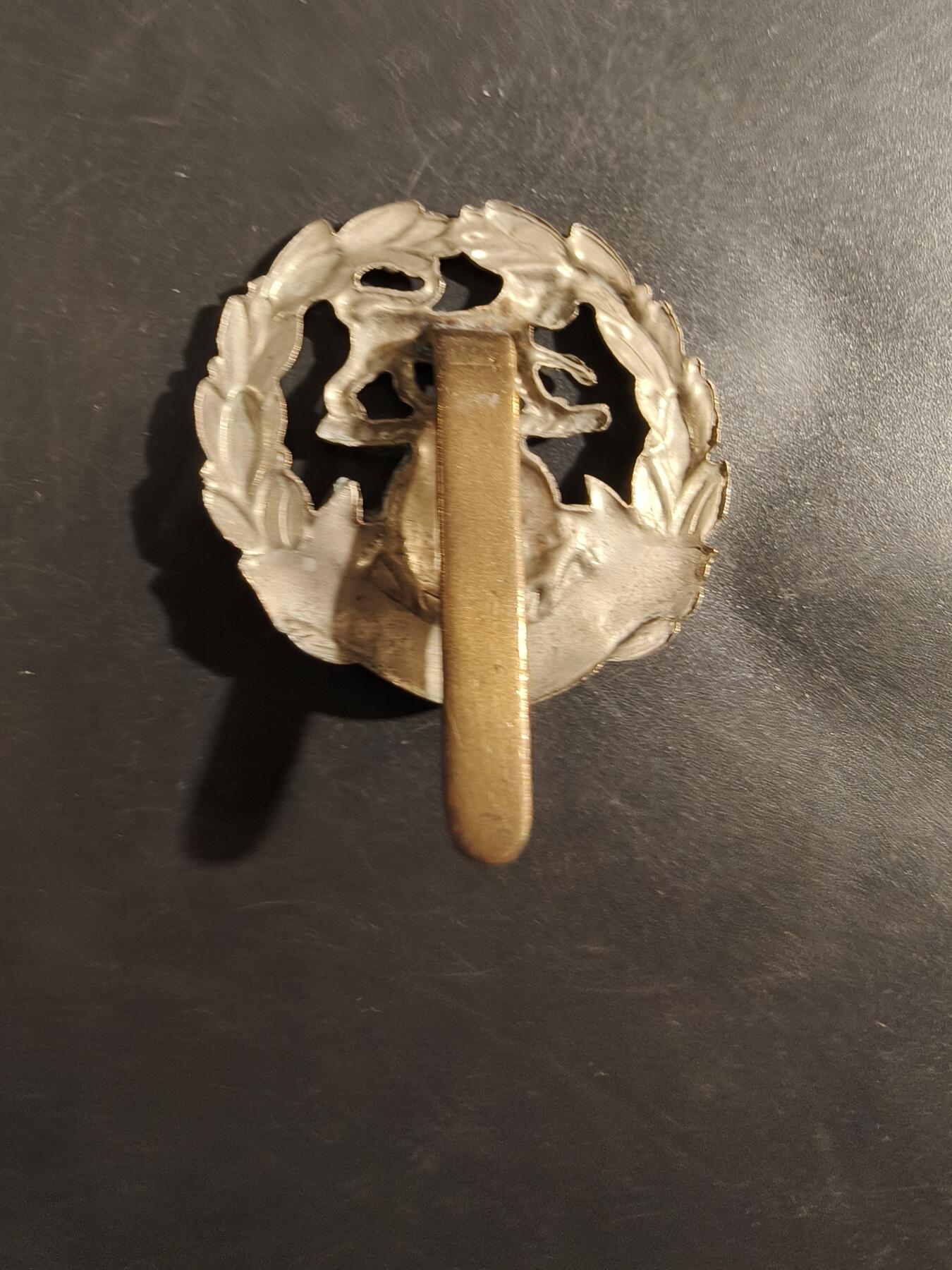 老王徽章第177期 英国汉普郡步兵团帽徽    一战时期