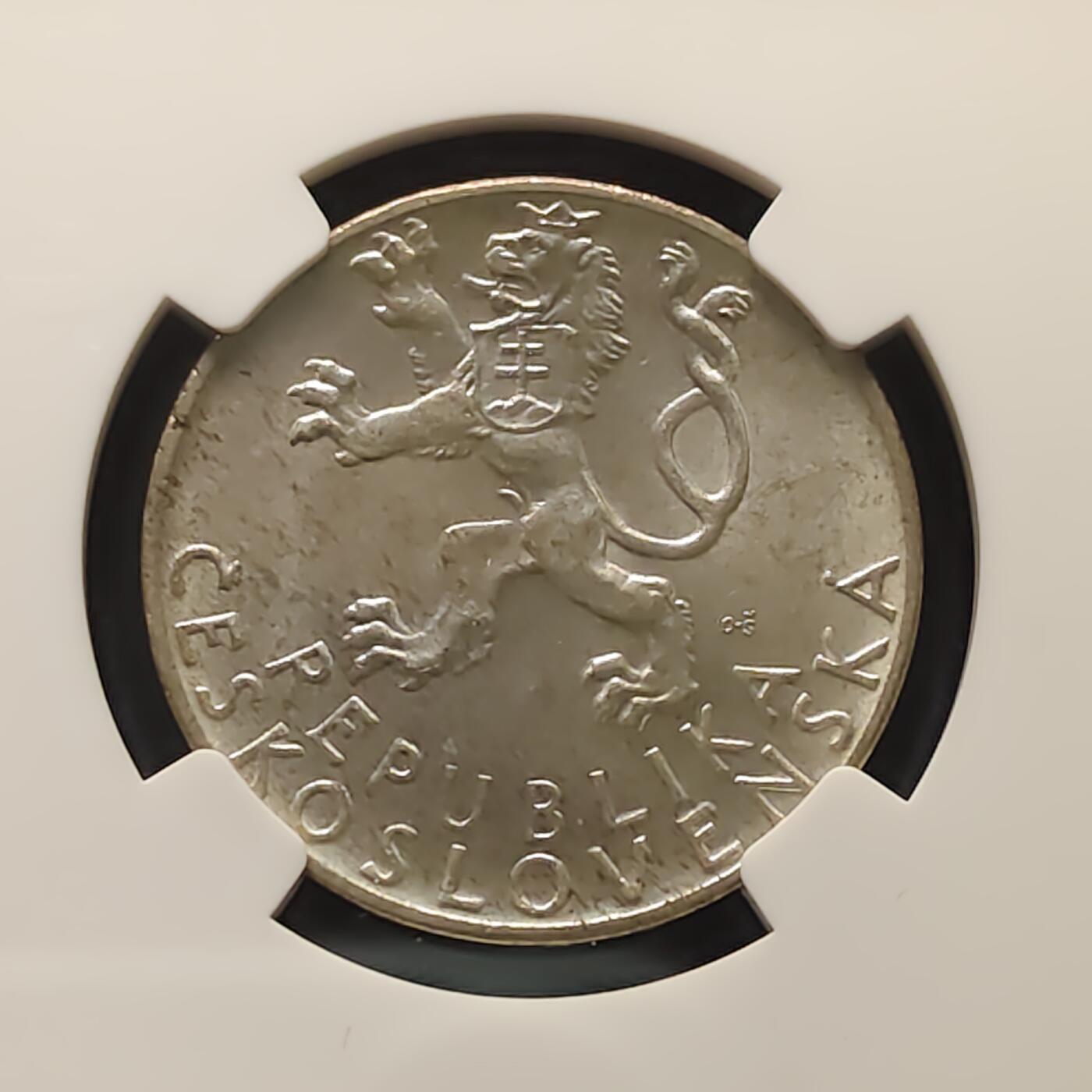 【全场包邮】纯粹捡漏拍495场-持续更新中