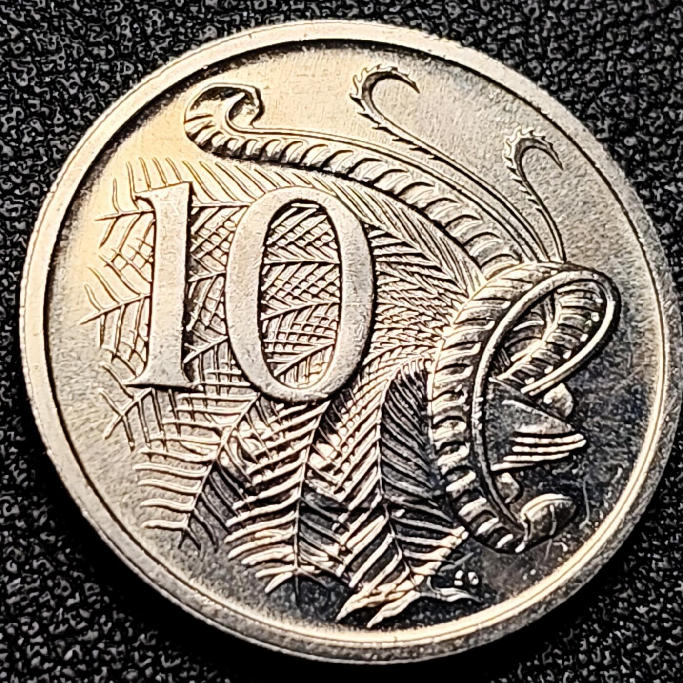 泉币菌-第171场- 精品福利场 。