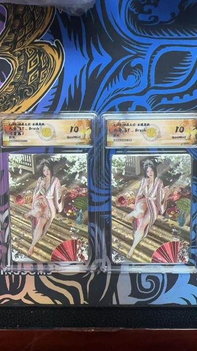 寸草不生拍卖第十八期  - 2025 燎原三国 大乔 ST-Brush 刷子老师 折光+异画 10G一对