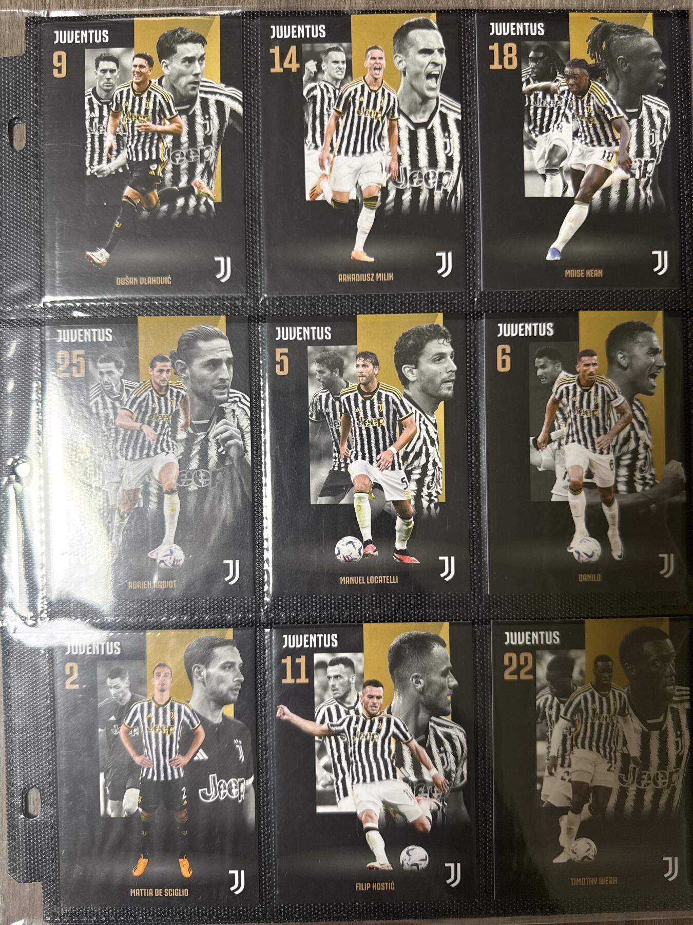 阳大大卡牌拍卖第94期（持续收拍品，周六晚上九点截拍，进群福利早知道）