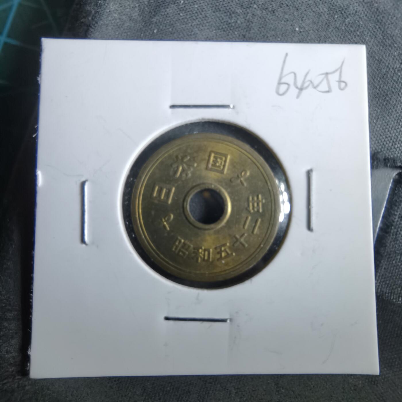 沼泽如烟--第964场