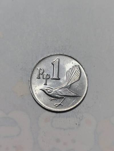 外国硬币 - 外国硬币